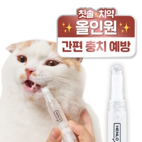 헨로포우 반려동물 양치펜 6g