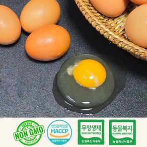 [초란 한정기간 판매] 난각1번 100% NON-GMO 동물복지 인증 자연방사 유정란 - 초란/소란/햇란, 1개, 20구