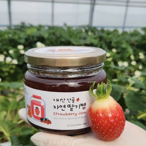 지리산 산골 수제 딸기잼 -500g, 1개, 500g