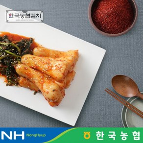 [한국농협김치] 전라도 순천 남도 총각김치 3kg, 1개