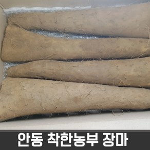 안동착한농부 장마 중상품 5kg