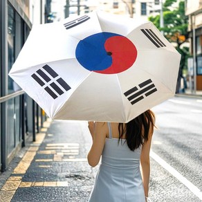 카라몰리 태극기 자외선차단 암막 우산 양산