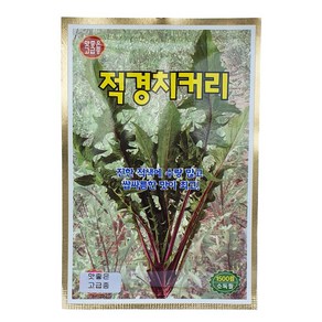 식물의집 적경치커리 씨앗 치커리씨앗