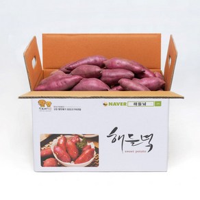 산지직송 해들녘 무농약 고창 세척 꿀 고구마 3kg 5kg 10kg (한입/중/특상/왕), 해들녘고구마 10kg (특상 사이즈), 1개