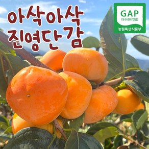 진영 단감 1KG 2.5KG 5KG, 1박스, 단감 5KG 20~30과