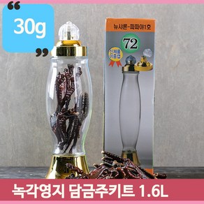 간편한 녹각영지버섯 담금주세트 1600ml 유리담금병 녹각영지30g 영양가득, 1L, 1개