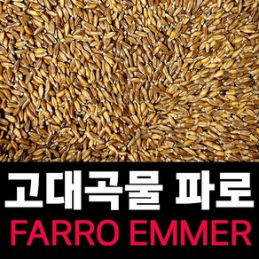 최신거로 드세요 FARRO 파로 (엠머 밀) 고대곡물