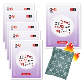 충성 NEW 핫팩 포켓용 중형 100g x 10p, 5개