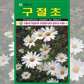 구절초 1000립야생화씨앗 종자 다농, 1개