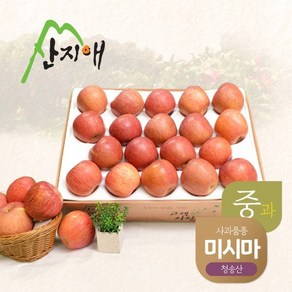 산지애 알뜰 못난이사과(중과) 4.5kg 1box / 당도선별 청송산 미시마, 1