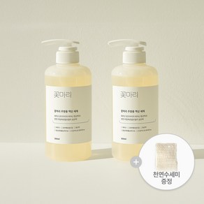 과일채소용 1종 주방용 액상세제 2개+천연수세미 증정, 2개, 500ml