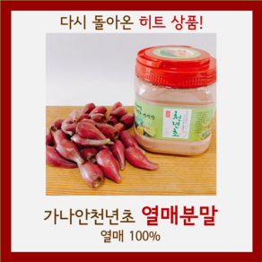 가나안천년초 열매분말 1kg, 1개