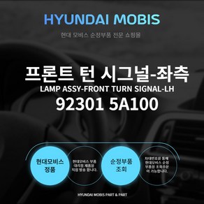 현대모비스순정 방향지시등 깜빡이 좌측 우측 923015A100 923025A100, 방향지시등 우측 923025A100, 1개