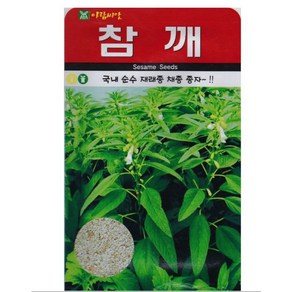 영농사 아람 참깨 씨앗 1000립 순수 재래종 종자, 2개