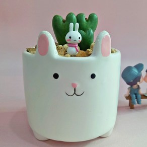 [카드메세지] 하트다육이 축전 토끼화분 막대토끼 클로버 증정 - 개업화분 집들이선물 승진선물 퇴사 이사 결혼 축하화분, 1개