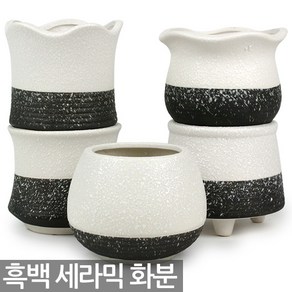 흑백 도자기 화분 - 겨울 고급화분 예쁜화분 다육이화분 선인장화분 미니화분 흰색화분, 06_Sein_눈송이화분(A06), 1개