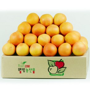 레드자몽 대용량벌크 1박스 (소50과~특대35과), 300g 내외 (중), 45개