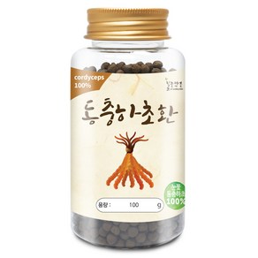 100% 동충하초환(국산) 100g(통) 건강환 분말 가루, 100 동충하초환[국산] 100g[통], 100g, 1개