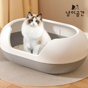 냥이공간 대용량 고양이 화장실 모래삽 세트, 1개, 대형 60cm, 그레이