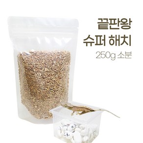 끝판왕 레파시 파충류 알부화 바닥제 슈퍼해치 250g, 1개