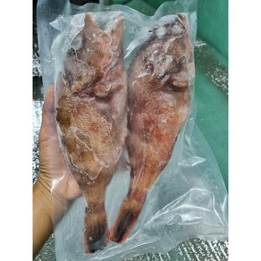 완도 국내산 통손질 쏨뱅이 2마리 (27cm/500g) 솜뱅이 빨간우럭 제수용 제사용, 가정용1마리(600g)