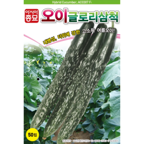 아시아종묘 씨앗 오이 글로리삼척 50립, 1개