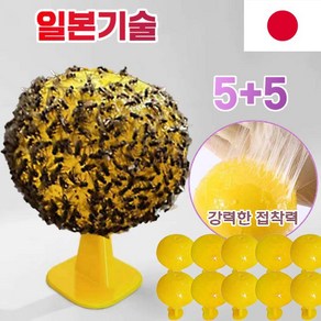 일본 5/5+5 초파리 끈끈이 트랩 날파리트랩 날파리 초파리퇴치제 날파리 초파리없애는법, 10개, 1개입