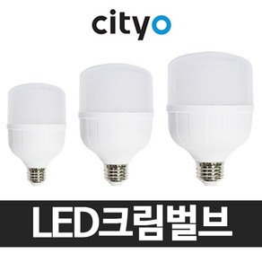 씨티 LED전구 삼파장 전구 램프 보안등 30W 40W 50W