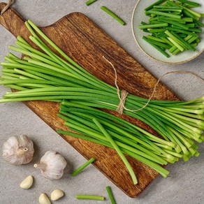 봄철 제철 국내산 마늘종 마늘쫑, 1박스, 4kg