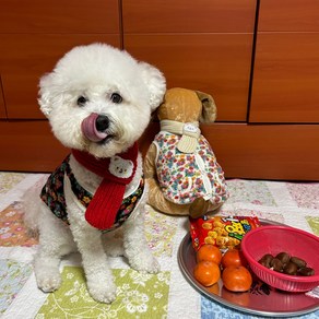 포레스펫 강아지 김장 보아털 할매조끼 후리스 뽀글이 겨울옷, 블랙, 1개