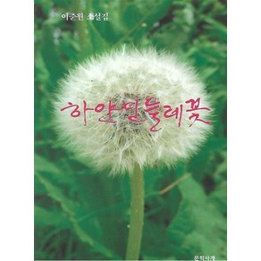 하얀 민들레꽃