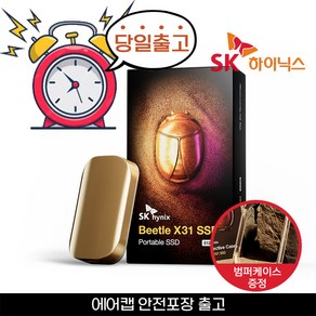 [범퍼케이스포함] SK하이닉스 Beetle 비틀 X31 1TB 외장SSD D램탑재 (오늘출발)