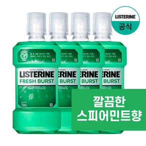 리스테린 후레쉬 버스트 구강청결제, 750ml, 4개