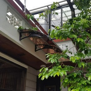캐노픽스 1000X1600 렉산지붕재 캐노피시공 캐노픽스어닝 처마비가림 가림막 라운딩처마 주차캐노피, 검정틀 브라운렉산, 1개