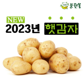 포슬포슬 가정용저장감자 5kg 10kg, 1개, 가정용 10kg (사이즈혼합)