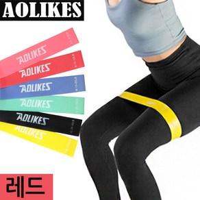 AOLIKES 루프밴드 1~6단계 스쿼트 런지 힙업운동 홈트레이닝 전신운동밴드, 루프밴드(2단계/레드)