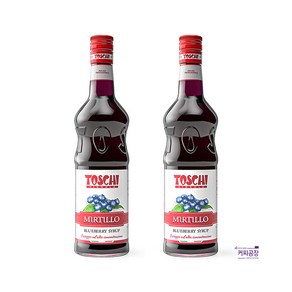 토스키 블루베리 시럽 1000ml x 2개 TOSCHI, 1L