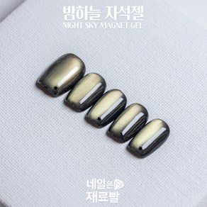 [네일은재료빨] 밤하늘자석젤 블랙자석젤, 골드(small 작은입자), 1개, 9g