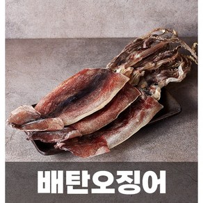 배탄오징어!!~ 선원들이 살아있는 오징어를 선상에서 직접 할복 해풍에 건조한 오징어! 중3미 중5미 중10미 중20미