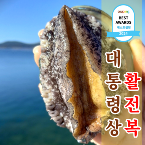 직거래 완도 활 전복, 1박스, 1kg 특대(8~9미)