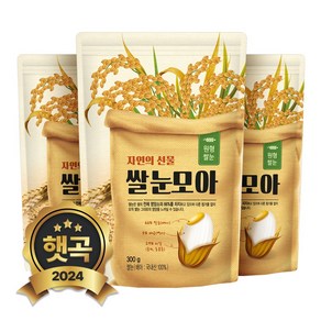 현대농산 국산 쌀눈 900g (300gx3봉)