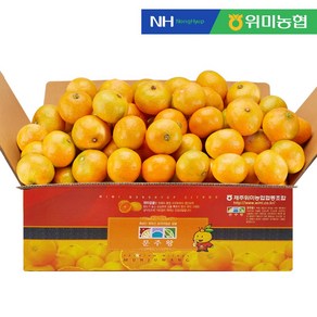 [위미농협] 문주왕 당도선별 농협 제주 비가림 감귤, 5kg