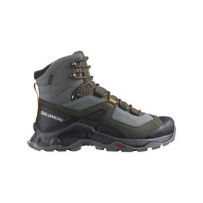 SALOMON 퀘스트 엘리먼트 GTX - 퓨터:벨루가:벅스킨 / L47157300