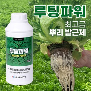 루팅파워 500ml (천연발근촉진제 + 이온미네랄) 뿌리영양제 식물발근촉진 장미 수국 과수 수목 뿌리강화 생장 성장 촉진 친환경 식물영양제 포도영양제 액상 액체 발근제, 1개