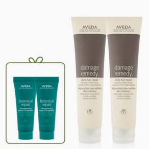 AVEDA 아베다 데미지 레미디 데일리 헤어 리페어 100ml 듀오 세트, 1세트