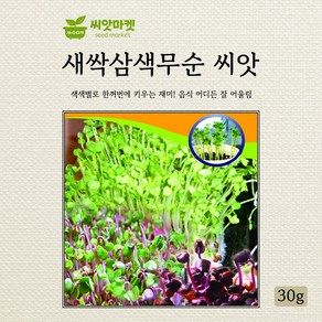 다농 새싹삼색무순 씨앗 30g, 1개