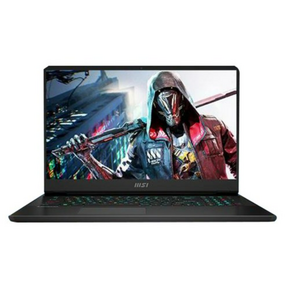 MSI 2023 벡터 GP77 13VG 17.3, All Black, 코어i7, 1TB, 16GB, Fee DOS, MS-17K