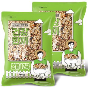 혼합잡곡 17곡 10kg (5kgx2봉) 대용량 슈퍼푸드 귀리+렌틸콩 혼합, 5kg, 2개