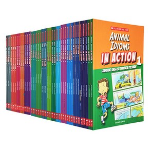 국내배송 인 액션 Scholastic In Action Animal Idimos 1-3 42권세트 책도서