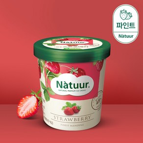 나뚜루 딸기 아이스크림 파인트 474ml, 1개